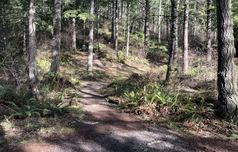 Metzler Park Nature Trail Disc Golf Course